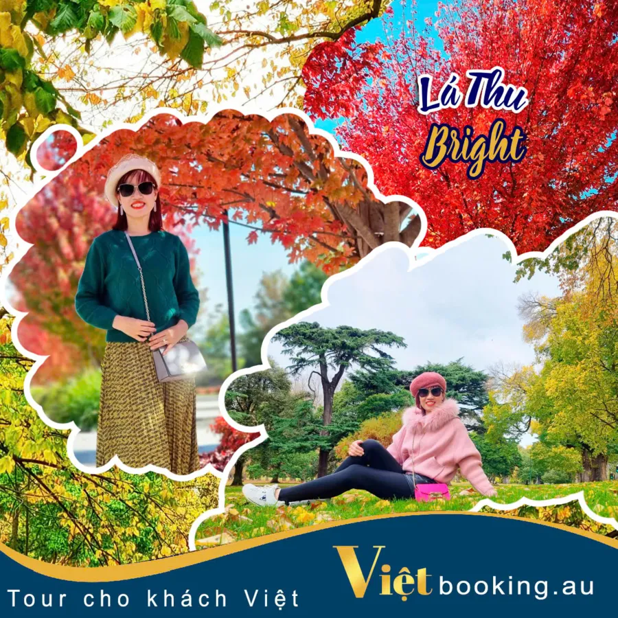item image 568 album của tour Lá thu thị trấn Bright